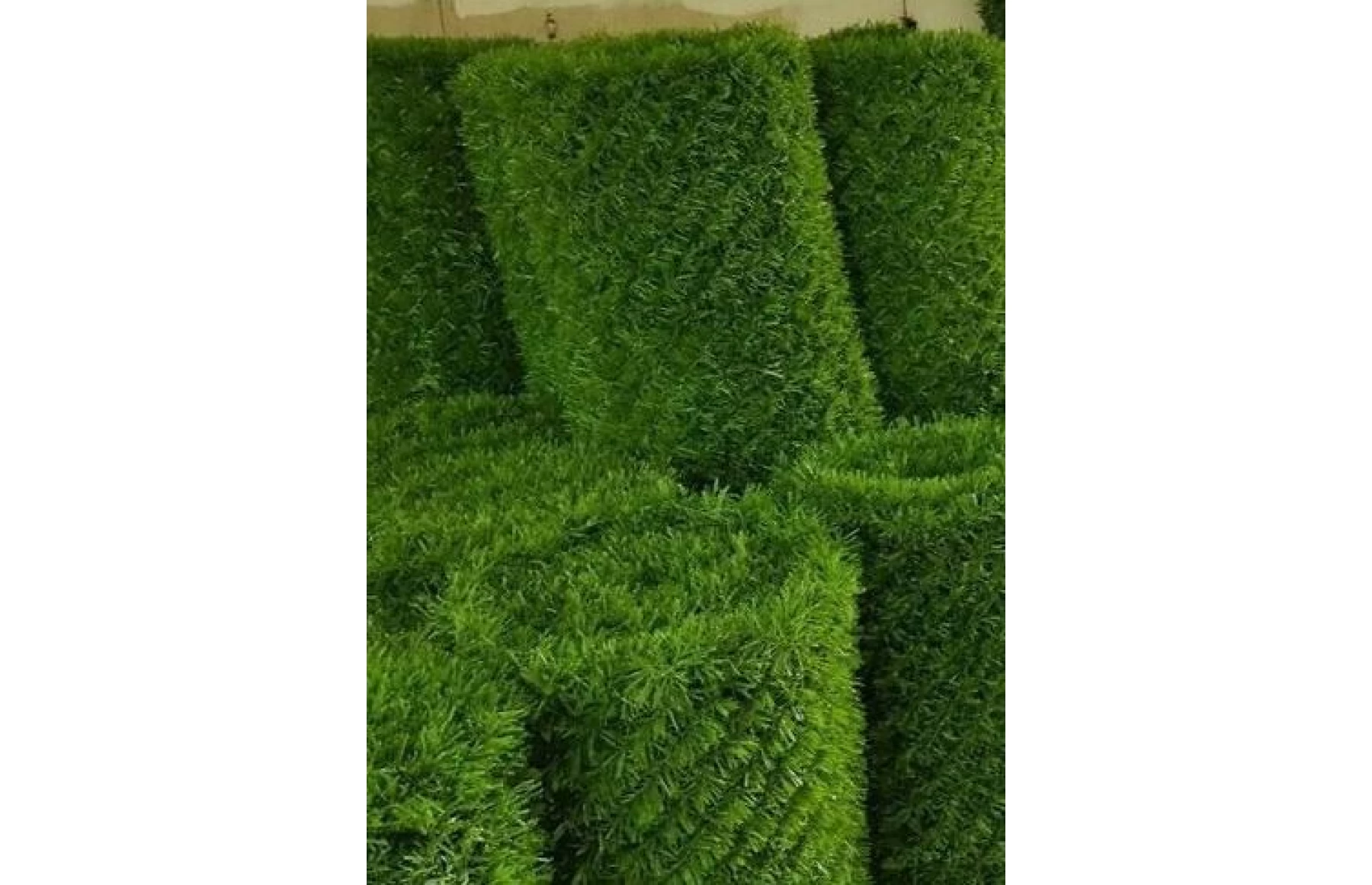 Plasa gard viu artificial, imitatie Gard Viu, plasa paravan verde, 1.5x10metri, Virtuoso