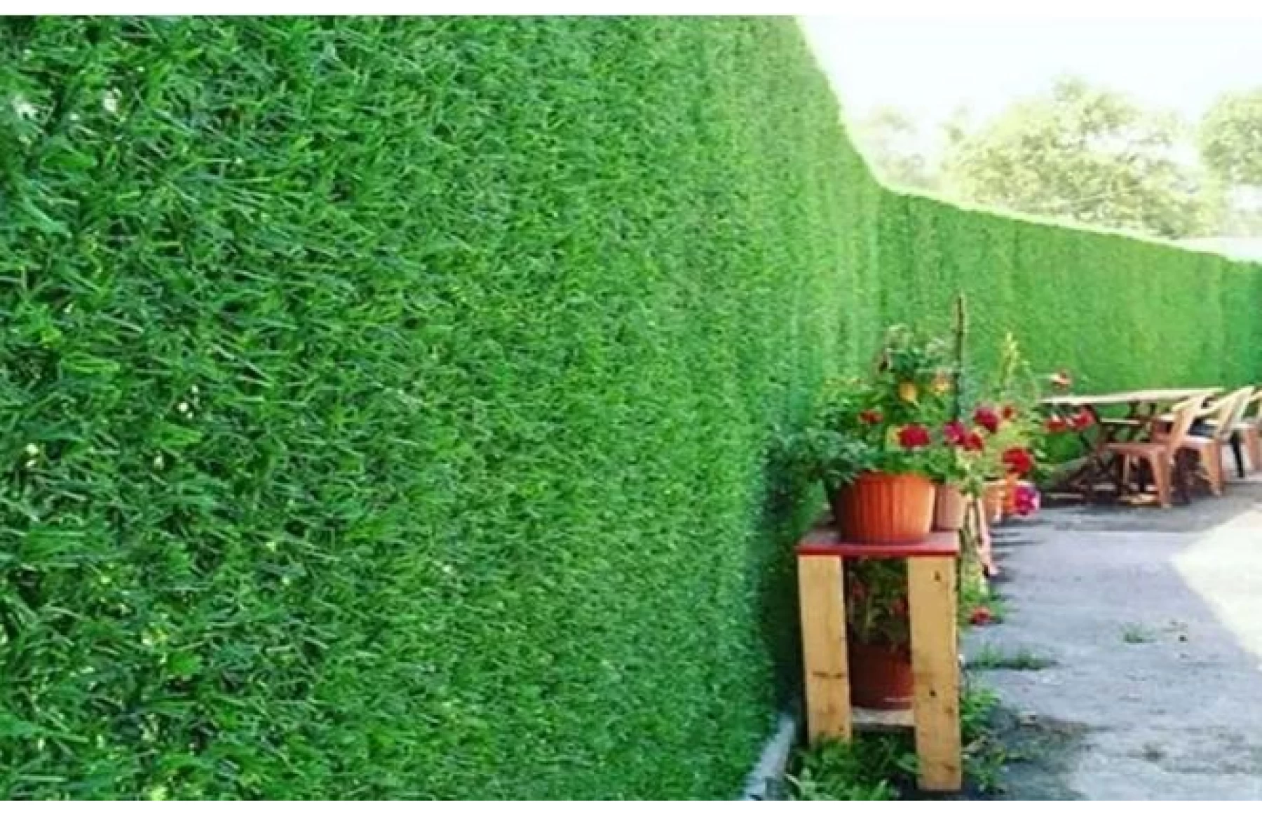 Plasa gard viu artificial, imitatie Gard Viu, plasa paravan verde, 1.5x10metri, Virtuoso